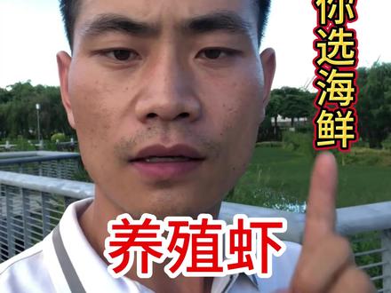 养殖虾到底能不能吃?水为什么那么浑浊?喂的什么饲料?用的什么药?一个视频讲清楚,不为别的,就为让大家有一个更公正的认知。#海鲜美食