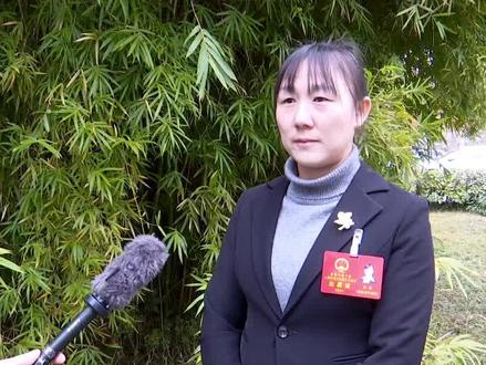 聚焦麻城两会 #代表心声