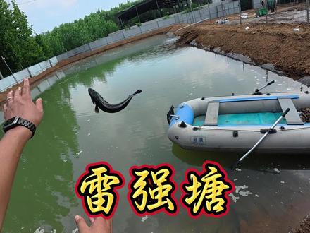 自己挖个雷强塘,就不信还钓不到鱼!#农村生活