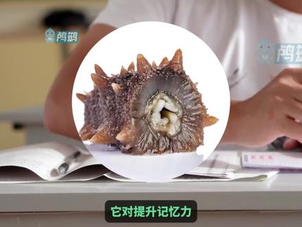 中学生为什么要坚持吃海参? #海参 #滋补养生