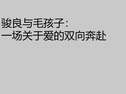 千言万语汇成一句:我喜欢#骏良 #骏良的狗狗