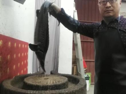 鲟龙鱼杀法,分享给大家,胆小慎看!
