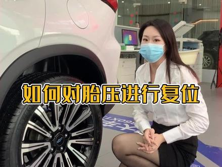 如何对胎压进行复位,你学会了吗?#欧尚创星赛 #每天一个用车知识 #欧尚汽车 #带你懂车 #抖音汽车