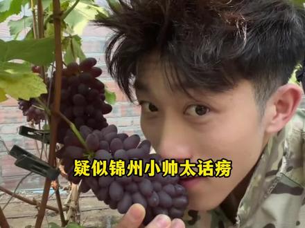 东北人都这么敞亮的吗?#东北 #锦州 #客服 #搞笑 #黄瓜