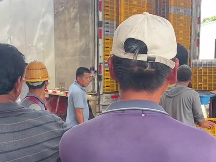 2026年杨梅该何去何从,理性看待,个人观点。#杨梅#福建杨梅 ##当地居民生活 #抖音助农 #抖音助农扶农