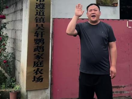 源头养殖场,无中间商,新手放心冲#小太阳鹦鹉 #收养鹦鹉#合法标识鹦鹉养殖