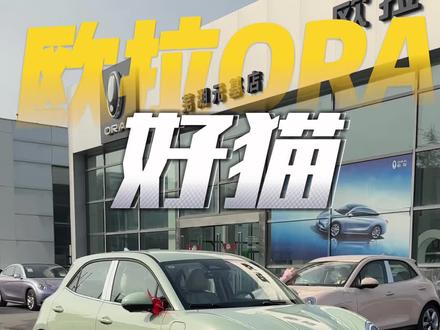 2023款 欧啦ORA 好猫#欧拉好猫