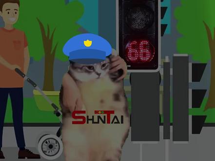 小朋友大朋友们都要牢记哦 #猫meme #交通安全 #交通信号灯