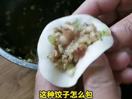 13种花式饺子包法,让你的年夜饭惊艳全村 #饺子🥟 #包饺子的方法 #科普