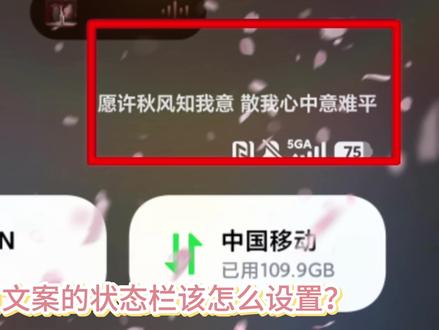 小米手机浪漫自定义状态栏怎么设置?#小米 #小米自定义状态栏 #红米 #真实生活分享计划