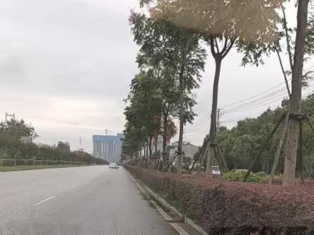 临湘科三一号线路模拟驾驶