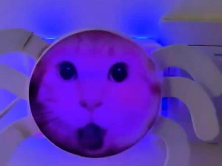 哈基米曼波版关灯神器声控灯智能语音玩具粘上即用家用学生宿舍 #曼波#哈基米#关灯神器#玩个很新的东西 #好物推荐🔥