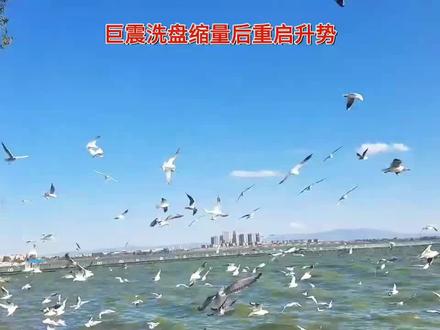 巨震洗盘缩量后重启升势
#云南昆明滇池 #股票有风险入市需谨慎 #大盘指数分析