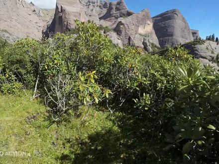 扎尕那反穿迷路
扎尕那双乳峰营地出来后,第二个小垭口比较容易迷路,路迹不明显,据我观察,好多人走错路,国庆扎尕那反穿驴友注意安全。
此次主要有以下错误:
1.脱离队伍,前一天双乳峰走不动扎营脱离队伍solo
2.早上起来高反了,但仍然一个人出发,双乳峰营地高反的人好像比较多。
3.十点多才拔营出发,脱离同一营地大部队,导致全程一个人。
4.这个地方好像比较邪性,后边和一个玩了几十年户外的老驴友讨论,他也这么觉得,这个地方不知道为什么就走错路了。
好在运气好➕足够冷静
国庆反穿的朋友做好心理准备,第二天开始全程都在海拔3500起步,每天都要翻越很多个垭口,国庆大概率下雪
#重装徒步 #扎尕那反穿 #户外徒步 #扎尕那