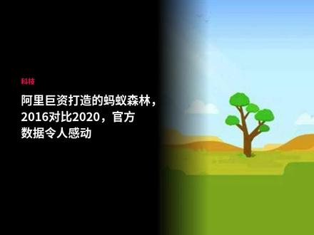 阿里巨资打造的蚂蚁森林,2016对比2020,官方数据令人感动#环保