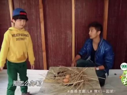 爸爸去哪儿保护鸡蛋(五)#综艺 #爸爸去哪儿 #天天 #田亮 #张亮
