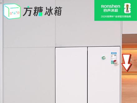 告别冰箱使用焦虑 囤再多食材也能长效锁鲜不串味 #容声方糖505 #容声505 #容声方糖冰箱 #冰箱热销第一名 #冰箱国家补贴 L