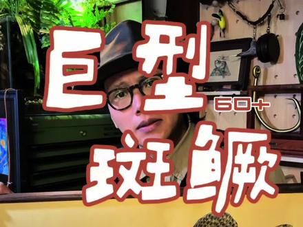 或许是河里的鱼太过迷人,让我每一次都提笔失神!
#路亚#钓鱼#画画 #抖音青年艺术家计划 #donz董震