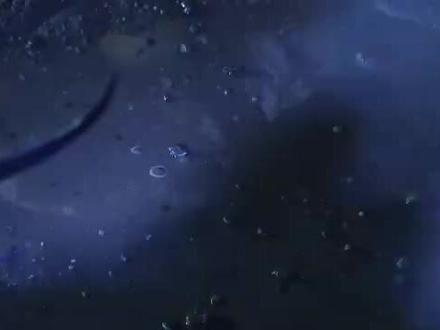 #霹雳布袋戏 #帝龙胤 #魙天下 是笑声,是悲泣,过往犹如南柯一梦,如此真实,却又如此虚幻