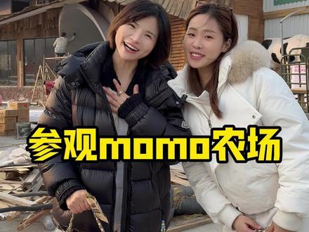 期待momo农场与大家的正事见面!@马欣彤 #折扣牛超市 #momo农场 #马昕彤 #折扣牛 #折扣牛马昕彤