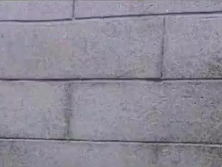 孟姜女千里寻夫哭倒长城终于感动了王母,秦始皇这才知道其中真相 #民间故事