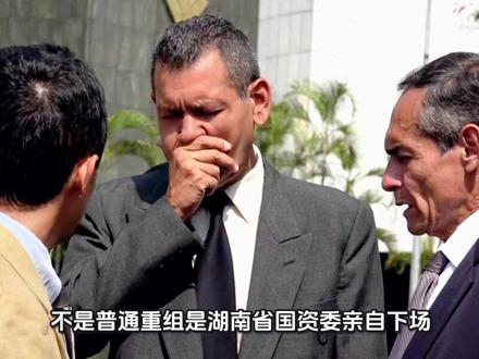 湖南黄金:不是机会,是风口!