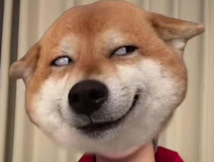 晚安呐翅~#张翅#直播录屏 #演员张翅 #一家三口在同班#糟糕,和闺蜜一起穿书后把反派玩儿坏了