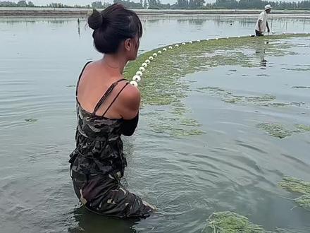 从小没有爸爸的日子,没有爸爸的肩膀,也没有爸爸撑腰,更没有爸爸可以做靠山,当在孩子的时代,我不明白母亲的勤劳艰辛,原来独自撑起一个家庭是有多难,更何况是个女人,因为失去过很多东西,所以我更加珍惜生活,珍惜亲人得依靠,也经历了所有人生的酸甜苦辣,我长大后才明白,原来支撑一个家庭,对于子女而言,爸爸这个身份,有多么重要,爸爸的靠山才是靠山,爸爸的肩膀,才是我们能依靠的肩膀,爸爸才是给我们遮风挡雨的人,最无私奉献的那个人,可是我的爸爸却不在了,长大后,我活成了爸爸的角色,原来我的肩膀也可以扛起生活的责任,愿我的爸爸在远方,一切都好,她的女儿长大了……#我的乡村生活 #原创作品 #真实户外 #大闸蟹养殖 #乡村米婵儿