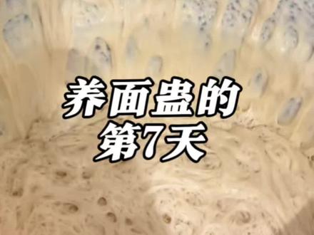 养面蛊的第7天 #日常vlog #制作过程 #蛊 #面蛊 #奇葩挑战