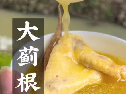 大蓟全身都是宝。它的根可是煲汤的好材料#上西瓜看知识 #star #热门 #2022新农人计划 #抖音小助手 #农村生活