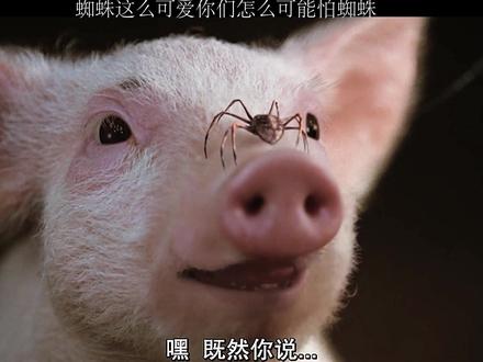 除了这只马有人晕蜘蛛吗?#夏洛特的网 #上热门