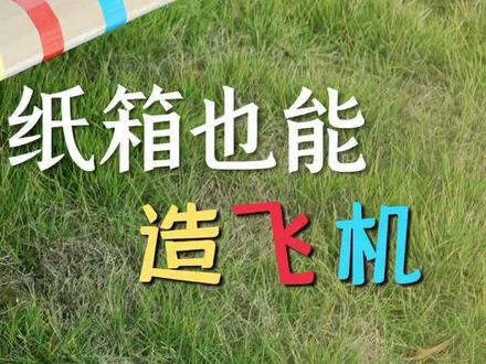 纸箱也能造飞机~#创作灵感 #航模 #万物皆可飞 #纸箱飞机
