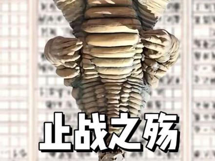 止战之殇是什么,雷德王还有三小时降临地球#止战之殇 #雷德王 #汉堡 #梗百科