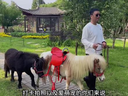 张公山里面的园中园萌宠乐园,现在终于对外开放了单人票只要18.8 #抖音搜索流量来了 #动物园推荐 #五一去哪儿 #亲子游玩好去处 #拍照打卡圣地