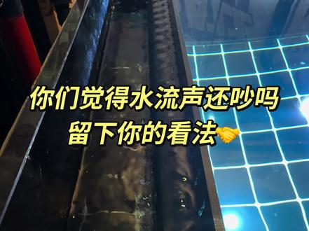 #通体溢流 #直角溢流 #鱼缸改造 接下来肯定又会有人说了,你这不行的,油膜进来了下不去的,对目前是这样,因为我还差40管在路上,水管做到水位低一些的情况下油膜就会被带走了,然后又会有人说脏东西会积攒在溢流区的,但是我溢流区做强排了呀,办法总归是人想出来的对吧😮💨