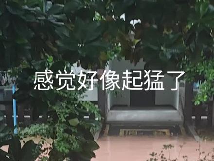 被水淹没的一天 起初都以为是一场普通的雨#永川 #大学生#暴雨过后 #生活记录
