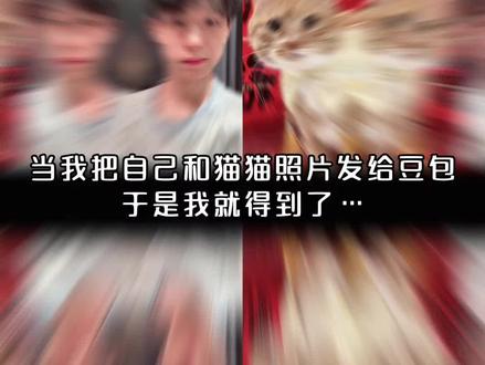 好有爱好喜欢,与猫咪相拥合照ai指令 教程来啦!#豆包p图指令宠物合照指令 ai生成自己和宠物的合照#和宠物合 合照教程来啦!和自家萌宠合照!#豆包P图指令#和宠物合照#豆包ai