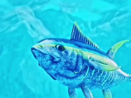 鱼在水里是怎么呼吸的呢?
#科普 #知识分享 #冷知识 #知识创作人 #动画