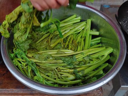 春天是吃冲菜的季节,和贵州的腊肉一起炒,太香了 #乡村味道 #农村美食 #冲菜 #腊肉 #野葱