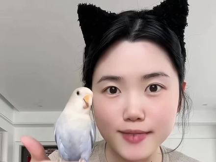 包教包会快去试#牡丹鹦鹉 #鹦鹉技能训练