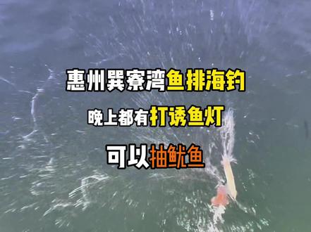 钓友们觉得用100在这玩一天,值不值呢?#惠州巽寮湾 #钓鱼人 #钓点分享 #海钓 #还有这种操作
