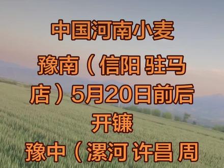 2026年小麦收割时间
豫南(信阳/驻马店):5月20日前后开镰。
豫中(漯河/许昌/周口):5月25–30日。
豫西(洛阳/平顶山):5月底—6月初。
豫北(新乡/安阳):6月5–10日。
