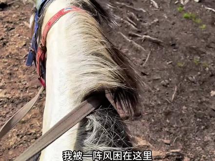 “你就替我走吧” #大山 #王睿卓 #无声卡清唱 #翻唱