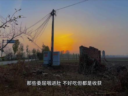 成功是失败堆起来的 甜也是