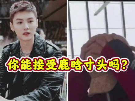 鹿晗是颜值自信还是为了五哈彻底放飞?#鹿晗 #五哈 #鹿晗剃寸头了