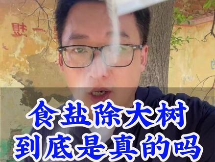 食盐除大树,到底是真的吗?#除大树 #除树烂根 #环嗪酮杀大树 #环嗪酮除大树除竹子除杂草