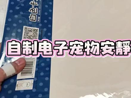 自制电子宠物安静书教程来啦#电子宠物 #手工diy #手工博主#自制安静书
