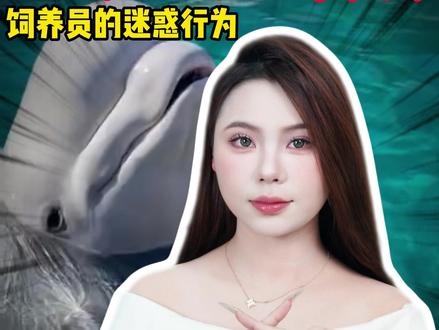 饲养员为什么要给白鲸喂冰块?#动物科普 #动物解说 #白鲸 #涨知识