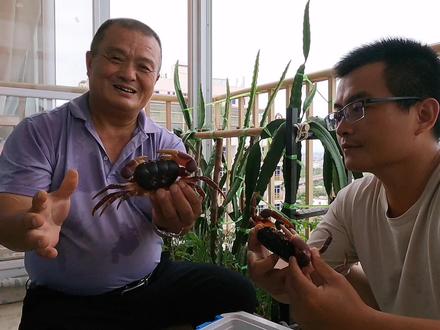 1800买4斤灵芝蟹,用红酒灌醉,头一次吃这么好吃的螃蟹