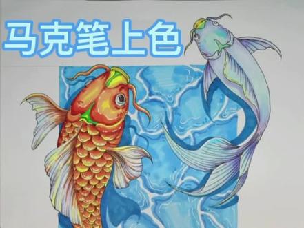 马克笔上色技巧
美术专升本•设计基础•锦鲤素材#美术专升本 #设计基础 #广东专插本